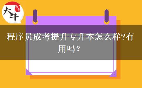 程序員成考提升專升本怎么樣?有用嗎？
