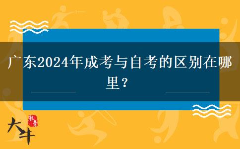 廣東2024年成考與自考的區(qū)別在哪里？