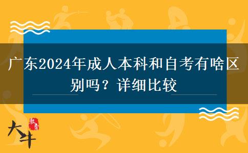 廣東2024年成人本科和自考有啥區(qū)別嗎？詳細比較
