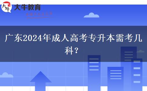 廣東2024年成人高考專升本需考幾科？
