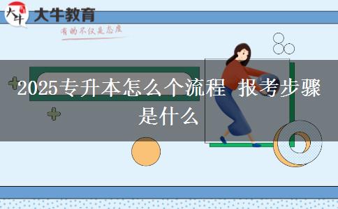 2025專(zhuān)升本怎么個(gè)流程 報(bào)考步驟是什么