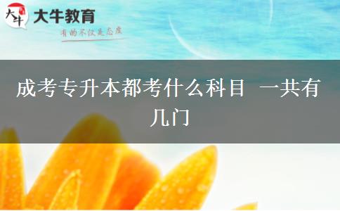 成考專升本都考什么科目 一共有幾門(mén)
