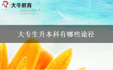 大專(zhuān)生升本科有哪些途徑