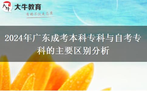 2024年廣東成考本科?？婆c自考?？频闹饕獏^(qū)別分析