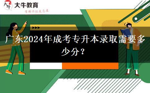 廣東2024年成考專升本錄取需要多少分？