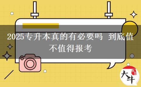 2025專升本真的有必要嗎 到底值不值得報考
