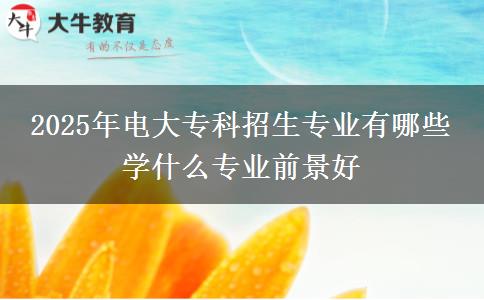 2025年電大專科招生專業(yè)有哪些 學(xué)什么專業(yè)前景好