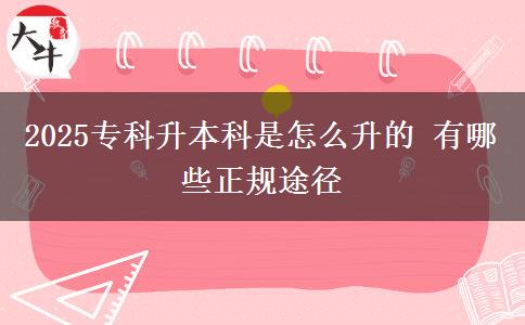 2025?？粕究剖窃趺瓷?有哪些正規(guī)途徑