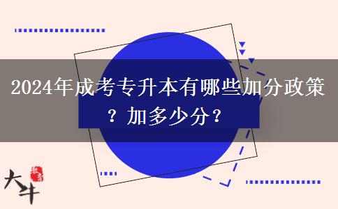 2024年成考專升本有哪些加分政策？加多少分？