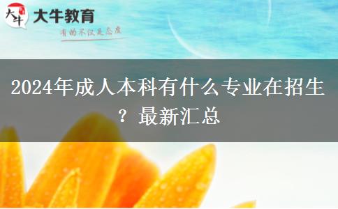 2024年成人本科有什么專業(yè)在招生？最新匯總