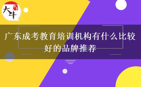 廣東成考教育培訓(xùn)機構(gòu)有什么比較好的品牌推薦