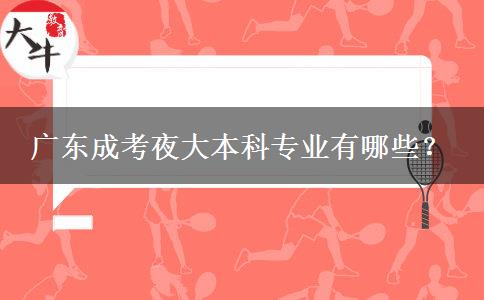 廣東成考夜大本科專業(yè)有哪些？