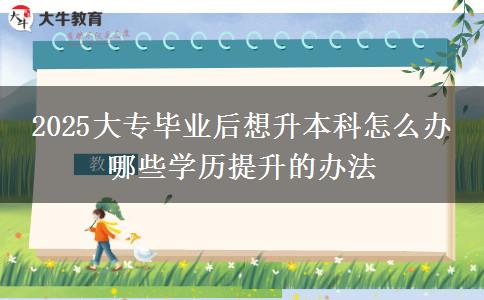 2025大專畢業(yè)后想升本科怎么辦 哪些學(xué)歷提升的辦法