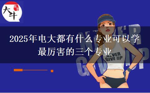 2025年電大都有什么專業(yè)可以學(xué) 最厲害的三個專業(yè)