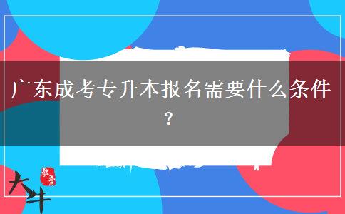 廣東成考專升本報(bào)名需要什么條件？