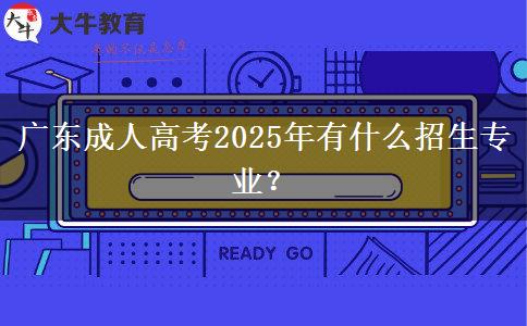 廣東成人高考2025年有什么招生專業(yè)？