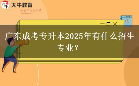 廣東成考專升本2025年有什么招生專業(yè)？
