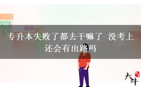 專(zhuān)升本失敗了都去干嘛了 沒(méi)考上還會(huì)有出路嗎