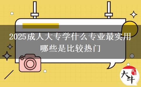 2025成人大專學(xué)什么專業(yè)最實用 哪些是比較熱門