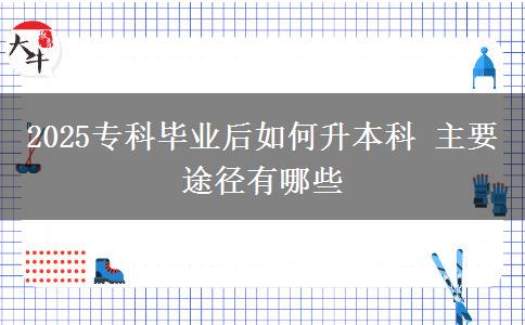2025?？飘厴I(yè)后如何升本科 主要途徑有哪些