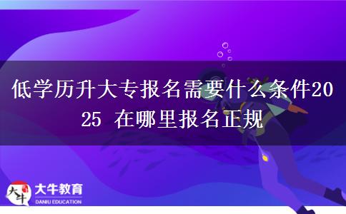 低學(xué)歷升大專報(bào)名需要什么條件2025 在哪里報(bào)名正規(guī)