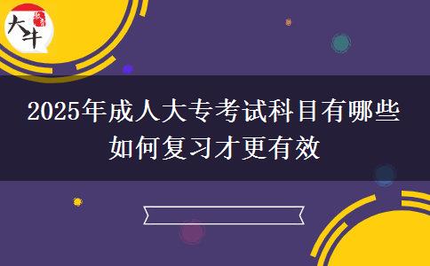2025年成人大專考試科目有哪些 如何復(fù)習(xí)才更有效