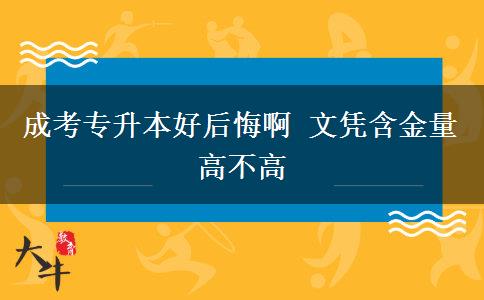 成考專升本好后悔啊 文憑含金量高不高