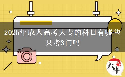 2025年成人高考大專的科目有哪些 只考3門嗎