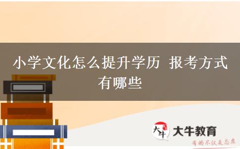 小學(xué)文化怎么提升學(xué)歷 報考方式有哪些