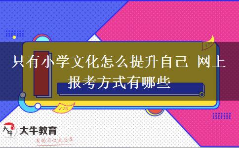 只有小學(xué)文化怎么提升自己 網(wǎng)上報考方式有哪些