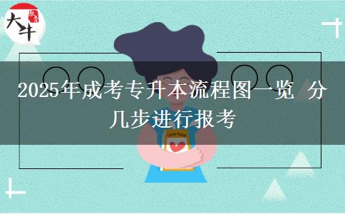 2025年成考專(zhuān)升本流程圖一覽 分幾步進(jìn)行報(bào)考