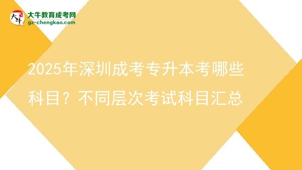 2025年深圳成考專升本考哪些科目？不同層次考試科目匯總圖片