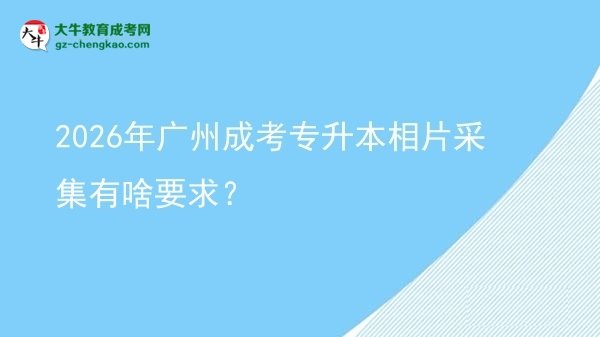 2026年廣州成考專升本相片采集有啥要求？圖片