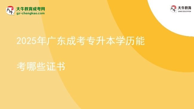 2025年廣東成考專升本學歷能考哪些證書圖片