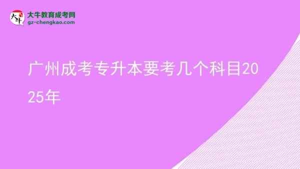 廣州成考專升本要考幾個(gè)科目2025年圖片